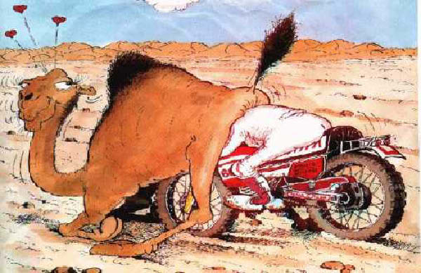 Humour - Paris-Dakar-humourenvrac